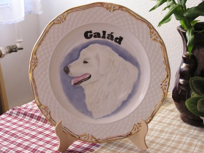 bord van Galad